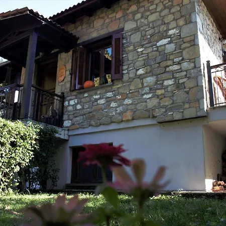 Villa Τα Πέτρινα Της Ελάτης - Petrina Elatis Exterior foto
