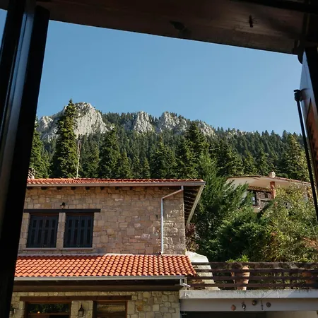 Villa Τα Πέτρινα Της Ελάτης - Petrina Elatis Exterior foto