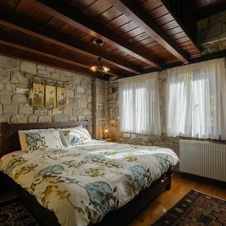 Villa Τα Πέτρινα Της Ελάτης - Petrina Elatis Exterior foto