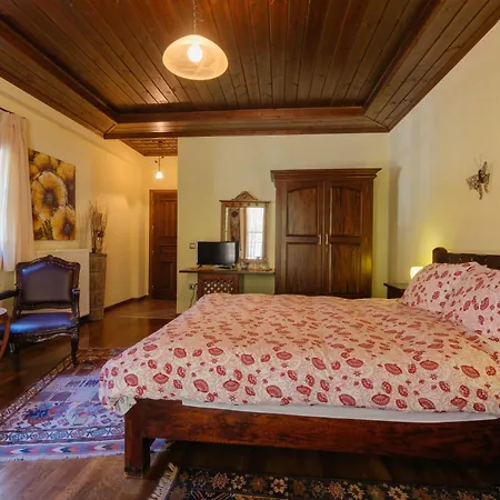 Villa Τα Πέτρινα Της Ελάτης - Petrina Elatis Exterior foto