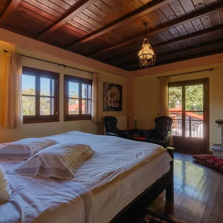 Villa Τα Πέτρινα Της Ελάτης - Petrina Elatis Exterior foto