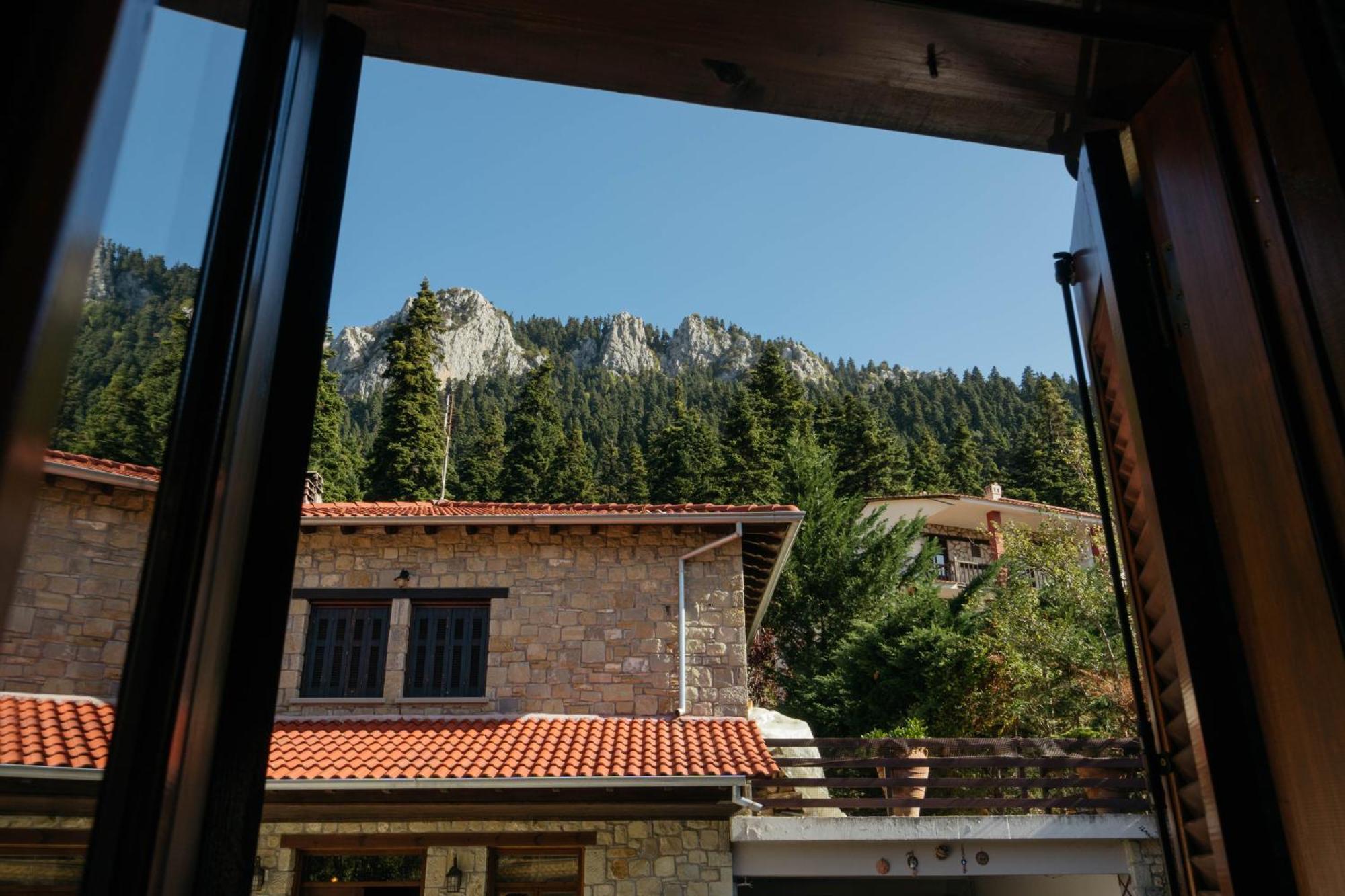 τα πέτρινα της ελάτης - Petrina Elatis Holiday home