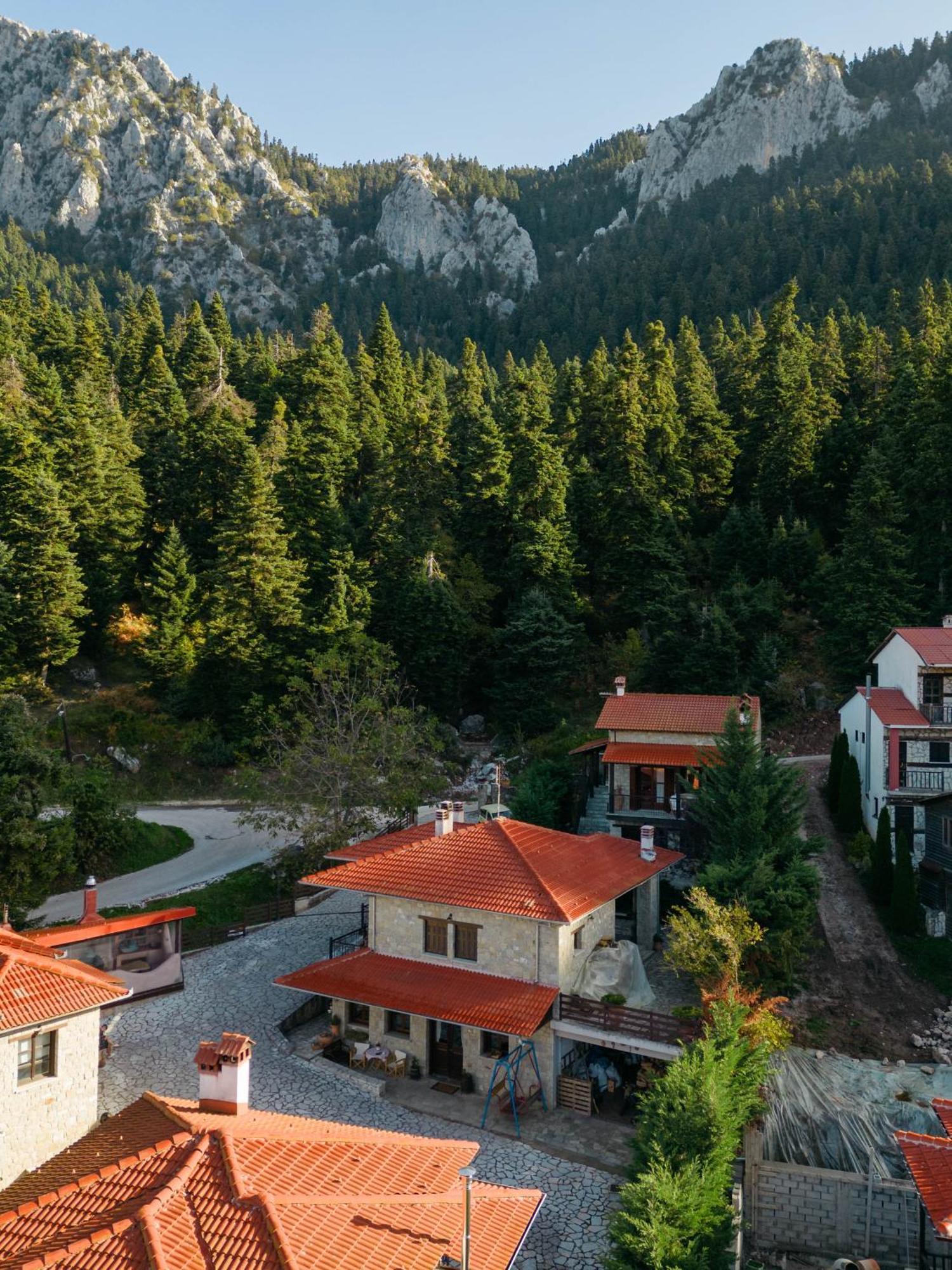 Holiday home τα πέτρινα της ελάτης - Petrina Elatis *