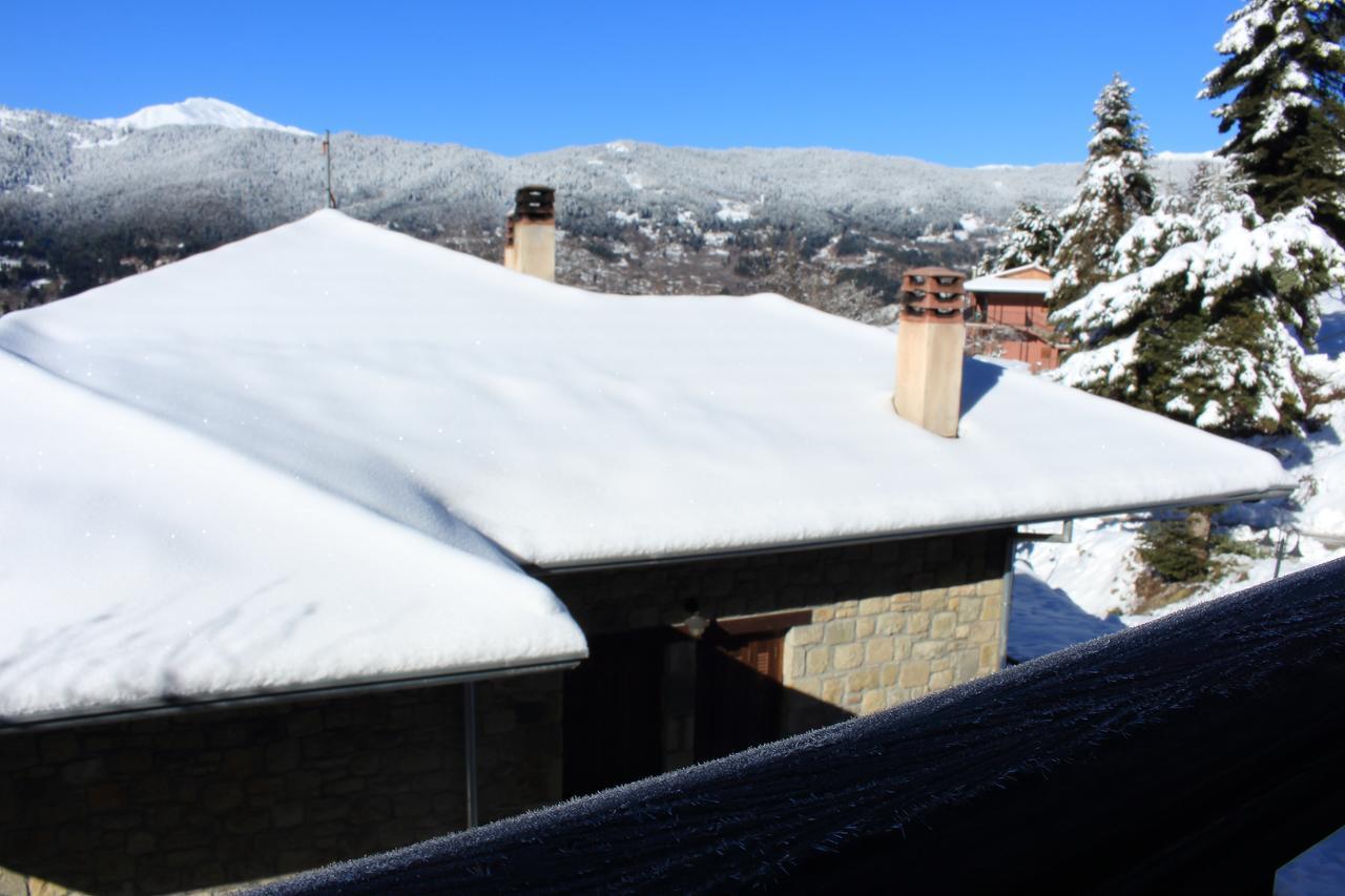 τα πέτρινα της ελάτης - Petrina Elatis Holiday home Elati (Trikala)